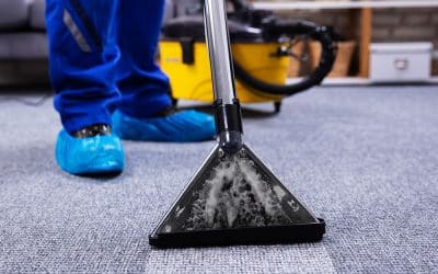 A Clean Home Is A Happy Home: Carpet Cleaning Services In Hattiesburg