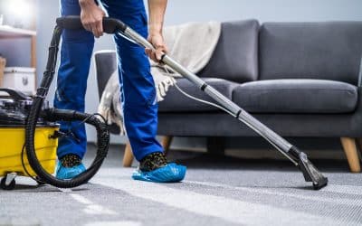 Hattiesburg’s Carpet Cleaning Experts: Protecting Your Health And Your Investment