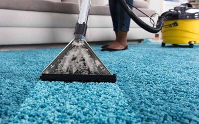 Carpet Stain Removal Services: Get Rid Of Tough Stains Once And For All