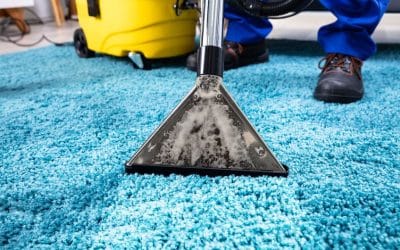 From Ground To Glamorous: The Carpet Cleaning Odyssey You Need To Experience