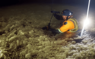 Your Guide to Residential Water Damage Inspection Services