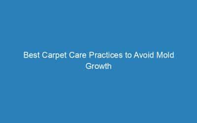 Best Carpet Care Practices to Avoid Mold Growth
