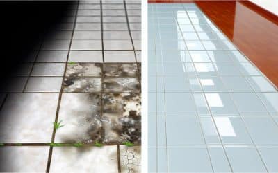 How Regular Tile and Grout Cleaning Prevents Costly Repairs